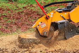 Best Aeration Services  in Silver City, NM